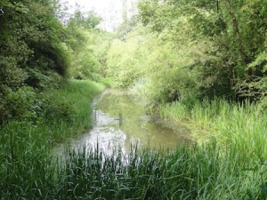Looking down the old canal section on the walk